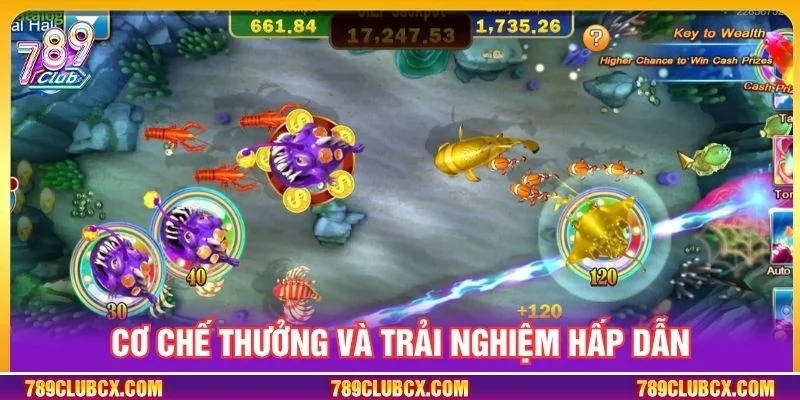 Cơ chế thưởng và trải nghiệm hấp dẫn