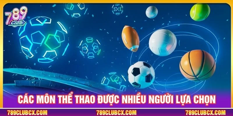 Các môn thể thao được nhiều người lựa chọn